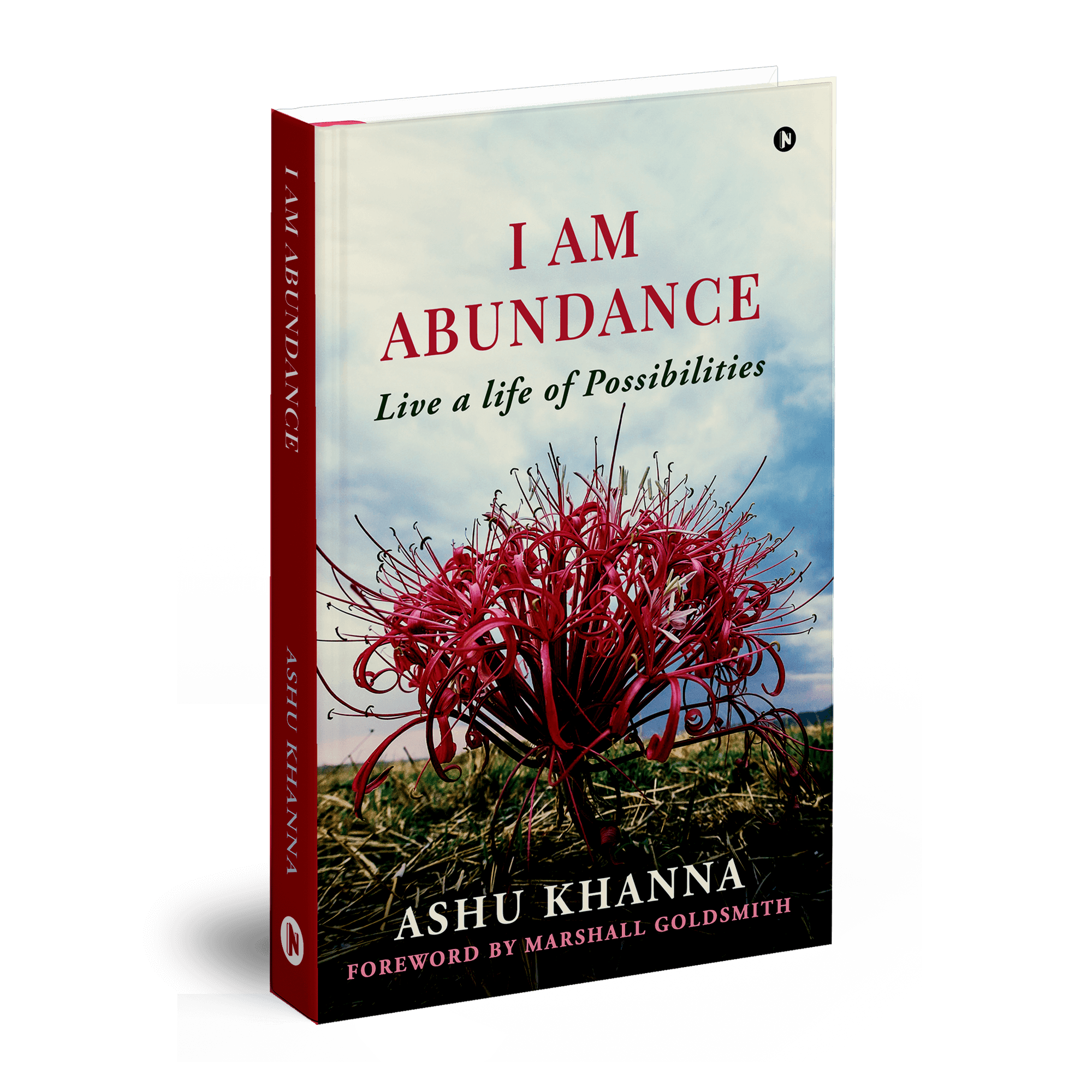I AM Abundance